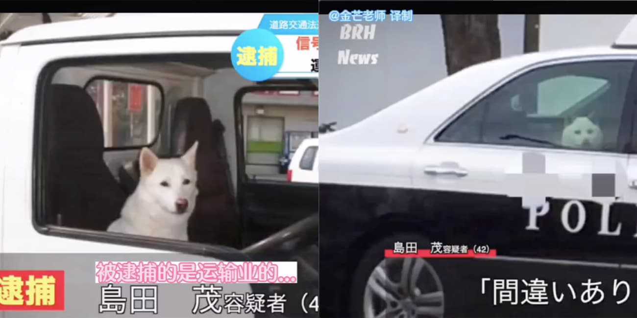 日本电视台新闻报道 司机闯红灯被捕?!一个敢编一个敢说!
