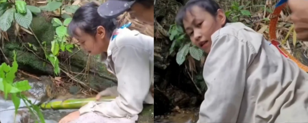国产擦边短剧的崛起 快手上的竹笋炒肉 这反转属实是没有想到 展现了农村爱情中质朴的感情