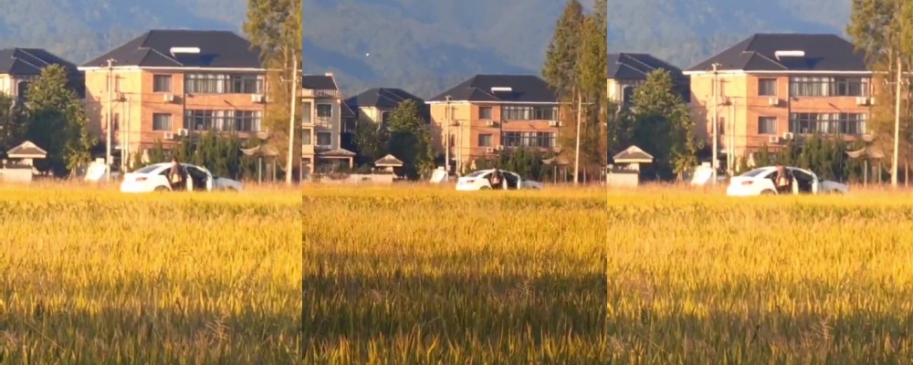 爱在晚霞的田野上 夕阳西下母狗丛生河南驻马店田野间惊现打野抽插现场