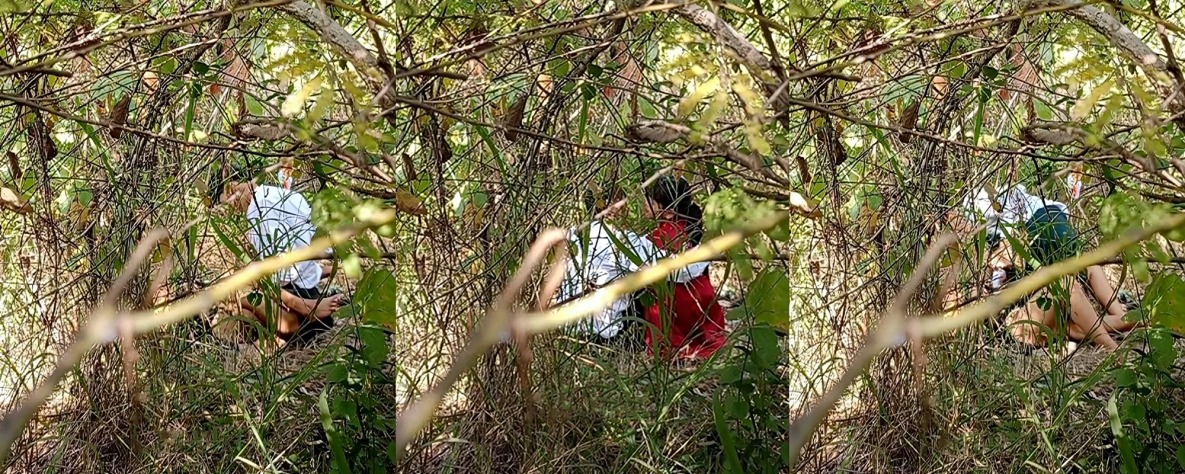 春天来了万物复苏 又到了野战的季节 大神冒死偷拍狗男女小树林激情野战